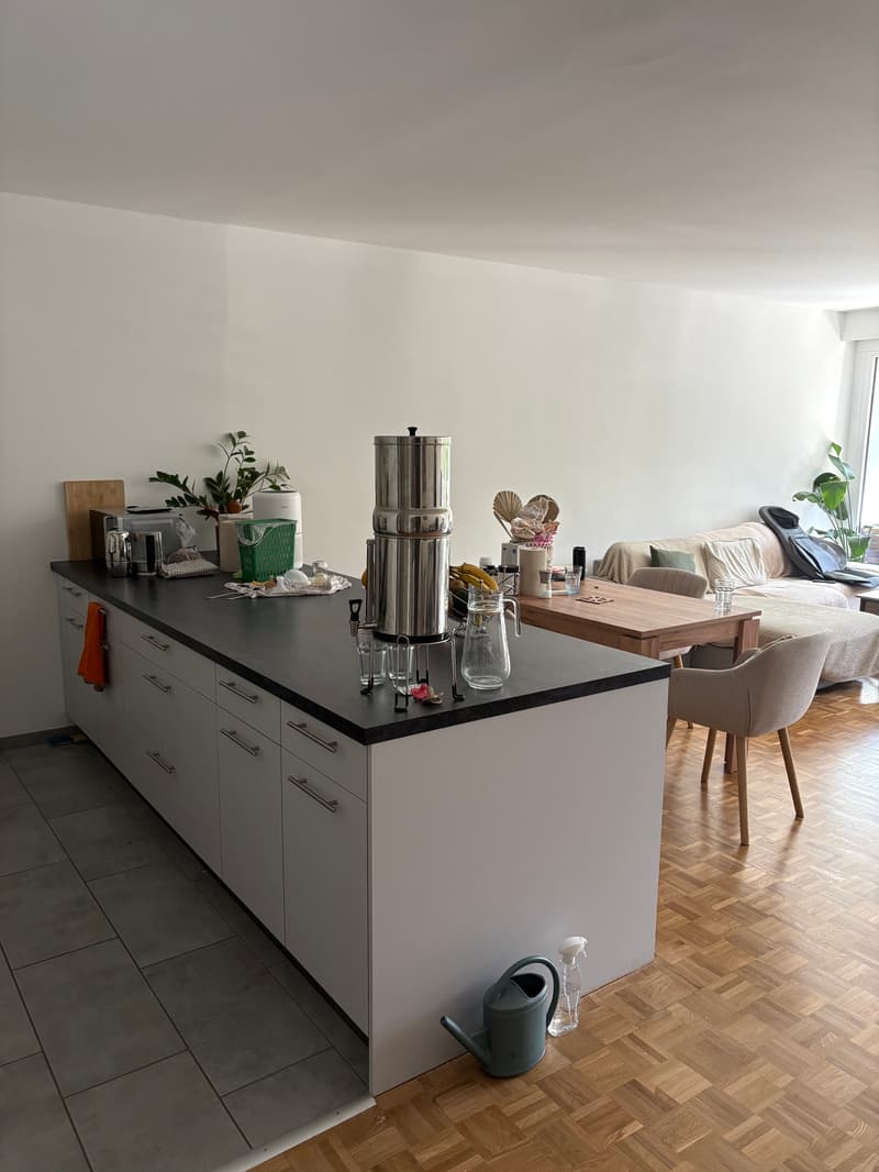 APPARTEMENT 4 PIÈCES À GENÈVE - SERVETTE/PETIT-SACONNEX, MEUBLÉ, DURÉE (2)