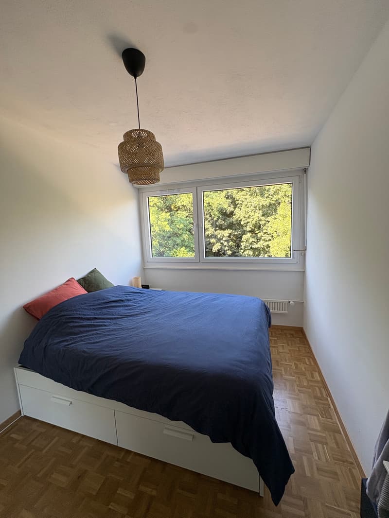 APPARTEMENT 4 PIÈCES À GENÈVE - SERVETTE/PETIT-SACONNEX, MEUBLÉ, DURÉE (3)