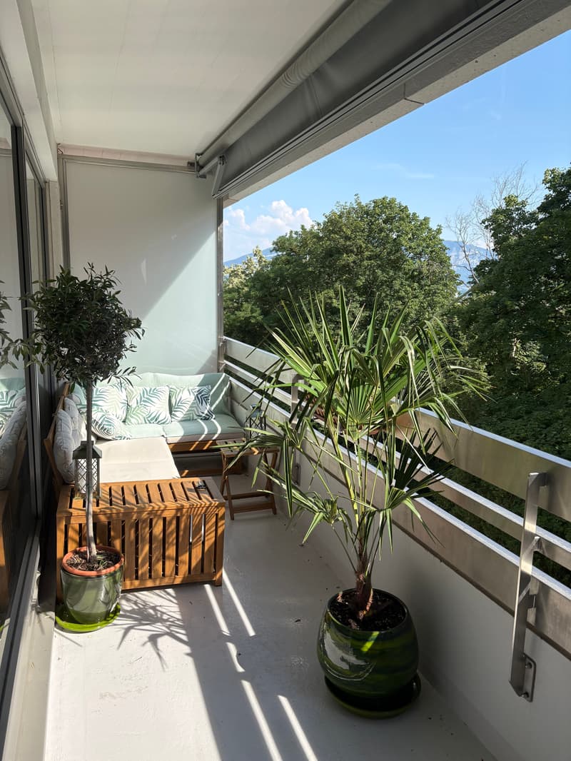 APPARTEMENT 4 PIÈCES À GENÈVE - SERVETTE/PETIT-SACONNEX, MEUBLÉ, DURÉE (6)