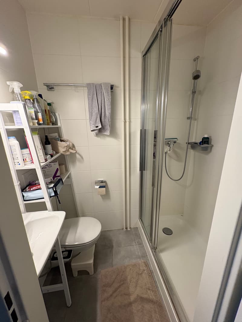 APPARTEMENT 4 PIÈCES À GENÈVE - SERVETTE/PETIT-SACONNEX, MEUBLÉ, DURÉE (4)