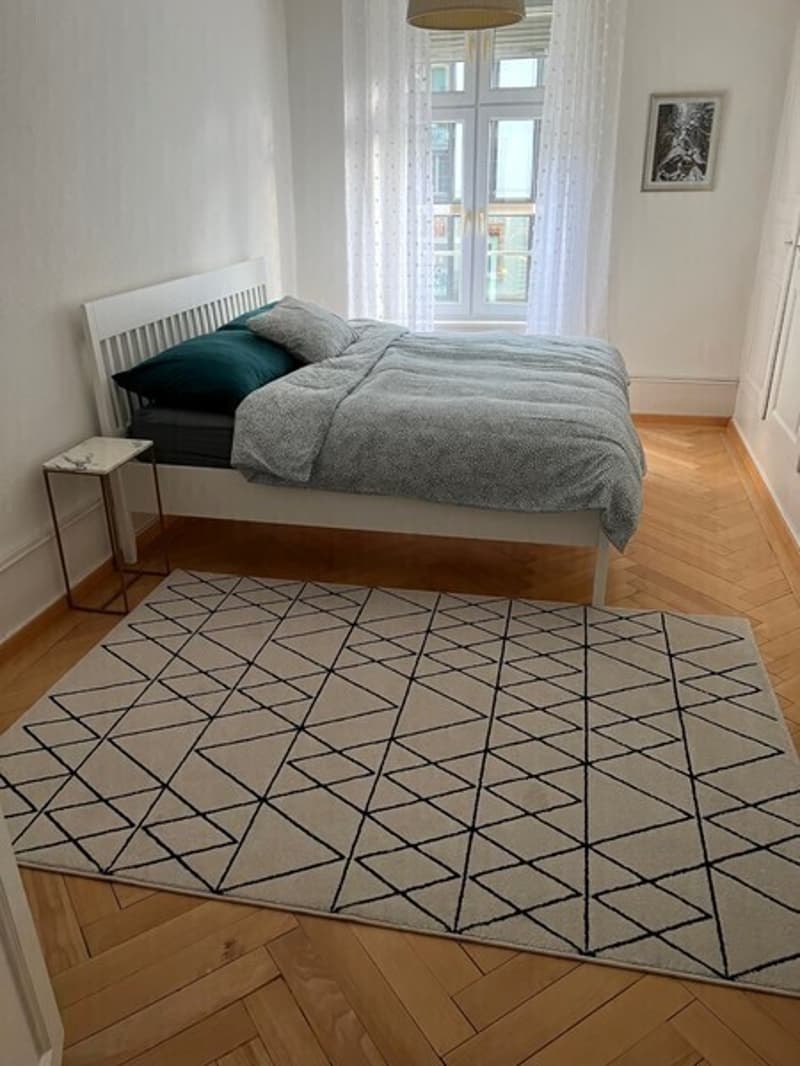 APPARTEMENT 3 PIÈCES À BIEL/BIENNE (BE), MEUBLÉ, DURÉE DÉTERMINÉE (6)