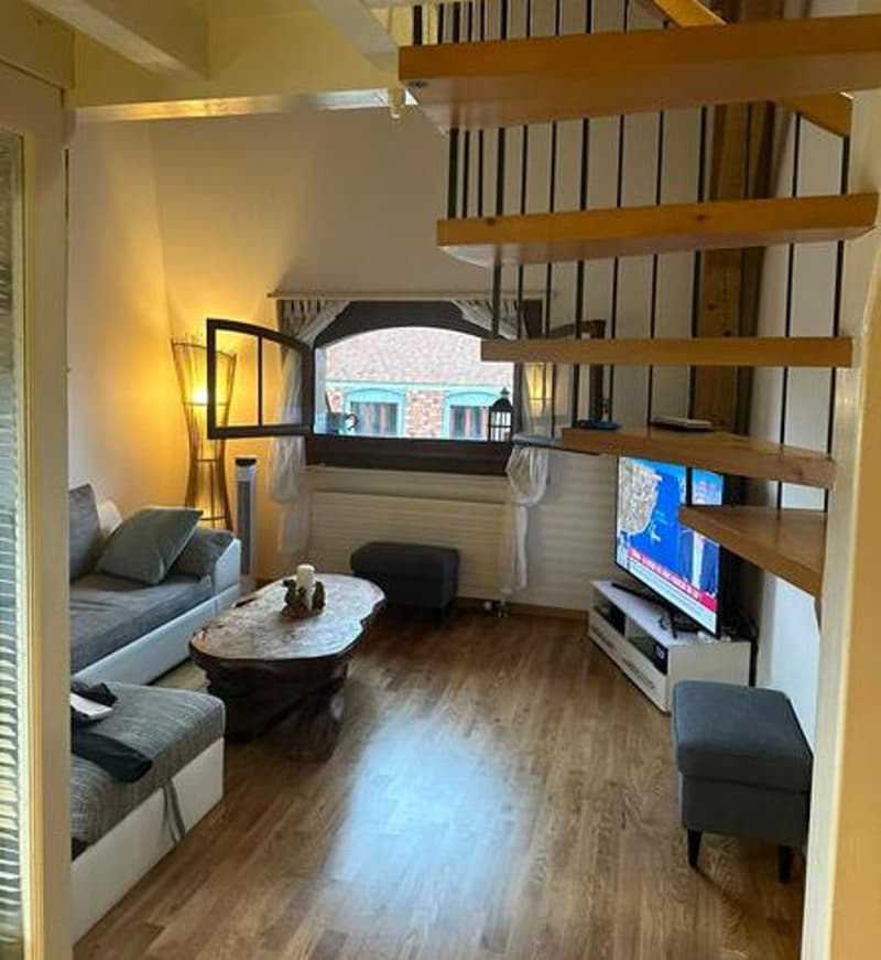 APPARTEMENT MANSARDÉ 2½ PIÈCES À GENÈVE - CENTRE, MEUBLÉ, DURÉE DÉTERM (2)