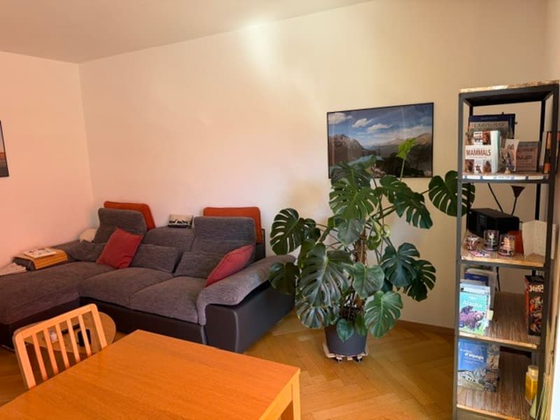 APPARTEMENT 2½ PIÈCES À LAUSANNE - CENTRE-VILLE, MEUBLÉ, DURÉE DÉTERMI (2)