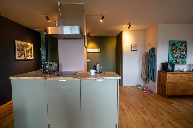 APPARTEMENT 2 PIÈCES À BELLERIVE (VD), MEUBLÉ, DURÉE DÉTERMINÉE (3)