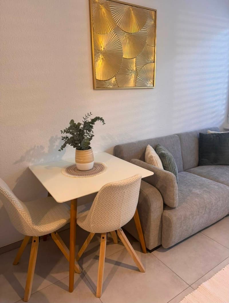 APPARTEMENT 1 PIÈCE À VEVEY (VD), MEUBLÉ, DURÉE DÉTERMINÉE (4)