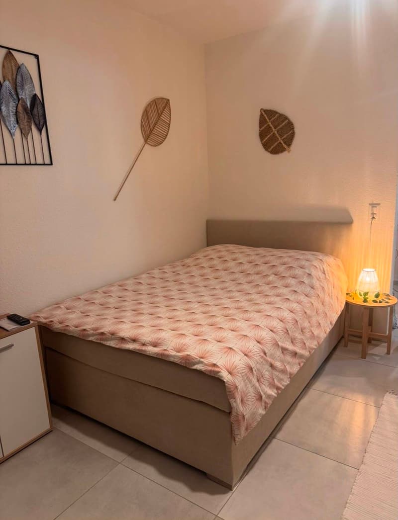 APPARTEMENT 1 PIÈCE À VEVEY (VD), MEUBLÉ, DURÉE DÉTERMINÉE (7)