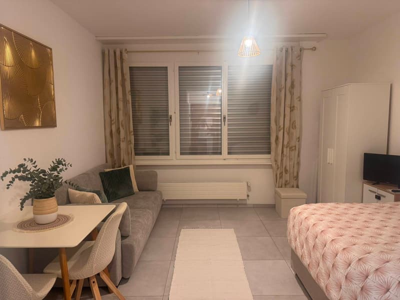 APPARTEMENT 1 PIÈCE À VEVEY (VD), MEUBLÉ, DURÉE DÉTERMINÉE (1)