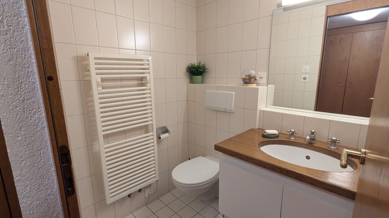 APPARTEMENT 3½ PIÈCES À NEUCHÂTEL (NE), MEUBLÉ, DURÉE DÉTERMINÉE (7)