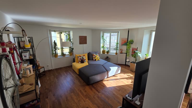 APPARTEMENT 3½ PIÈCES À BIEL/BIENNE (BE), MEUBLÉ, DURÉE DÉTERMINÉE (4)