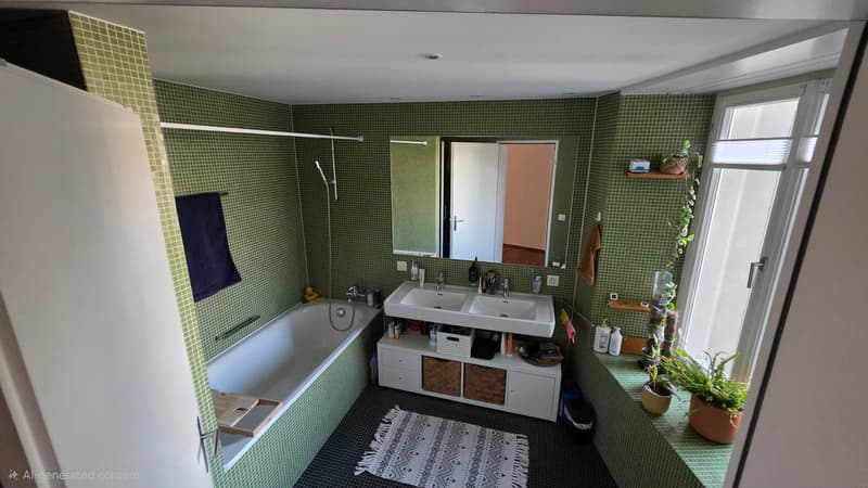 APPARTEMENT 3½ PIÈCES À BIEL/BIENNE (BE), MEUBLÉ, DURÉE DÉTERMINÉE (9)