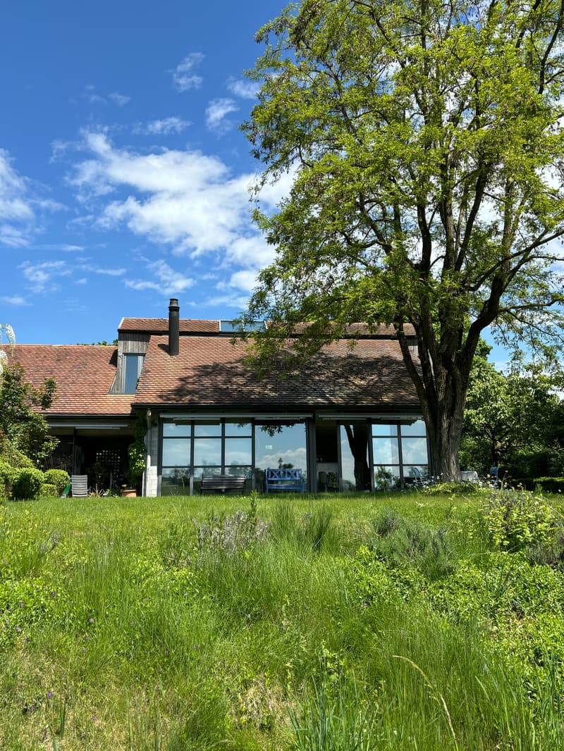 MAISON 4½ PIÈCES À BARBERÊCHE (FR), MEUBLÉ, DURÉE DÉTERMINÉE (8)