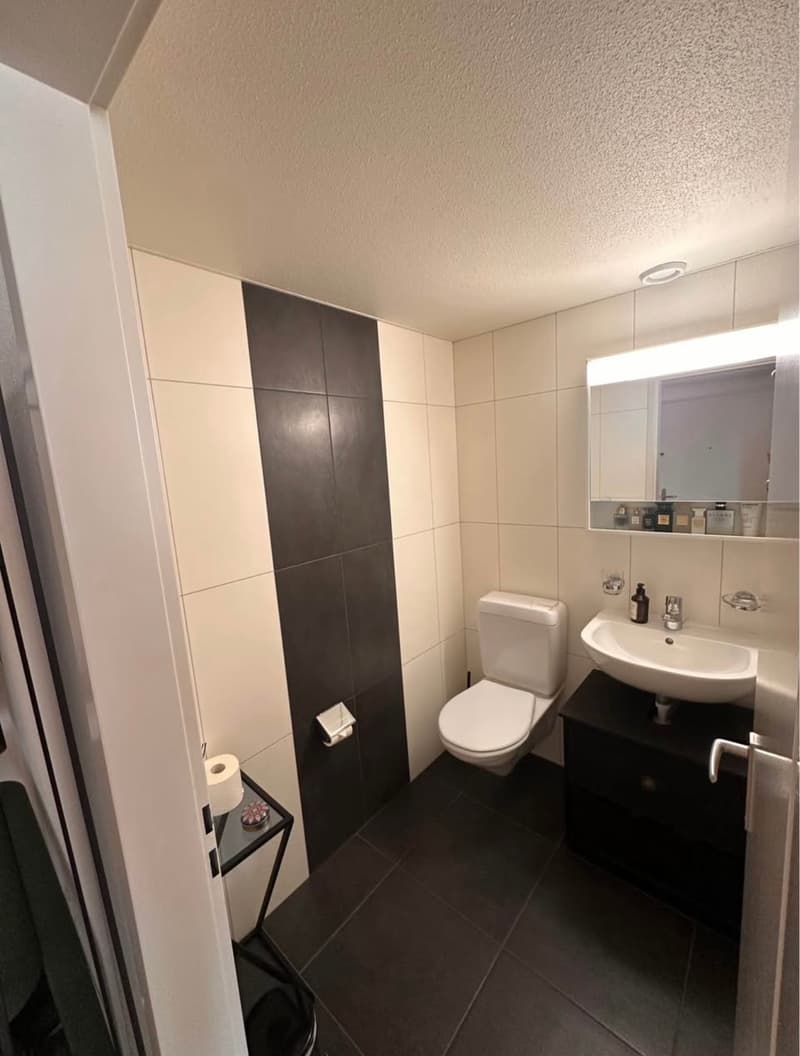 APPARTEMENT 2½ PIÈCES À LAUSANNE - SOUS-GARE/OUCHY, MEUBLÉ (5)