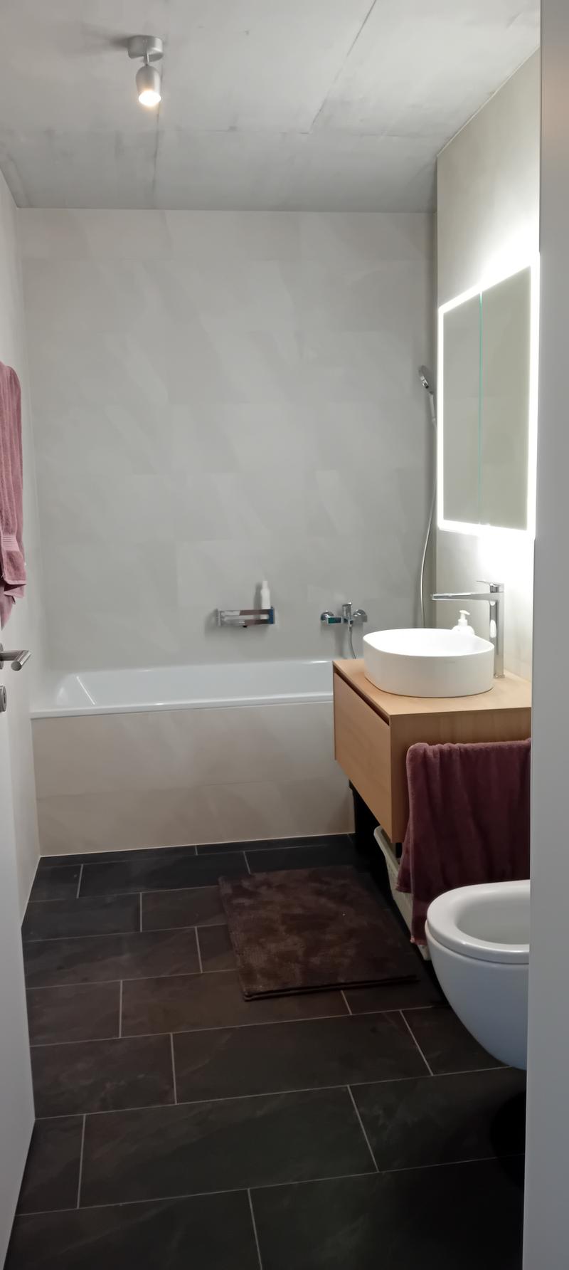 APPARTEMENT 5½ PIÈCES À BELFAUX (FR), MEUBLÉ, DURÉE DÉTERMINÉE (7)