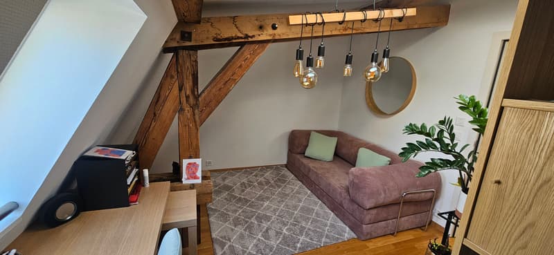 APPARTEMENT MANSARDÉ 3½ PIÈCES À LAUSANNE - CENTRE-VILLE, MEUBLÉ, DURÉ (6)