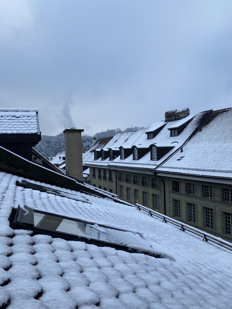 APPARTEMENT 1 PIÈCE À FRIBOURG (FR), MEUBLÉ (9)