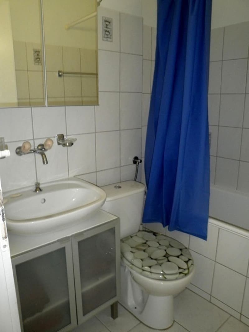 APPARTEMENT 2½ PIÈCES À VERSOIX (GE), MEUBLÉ (6)