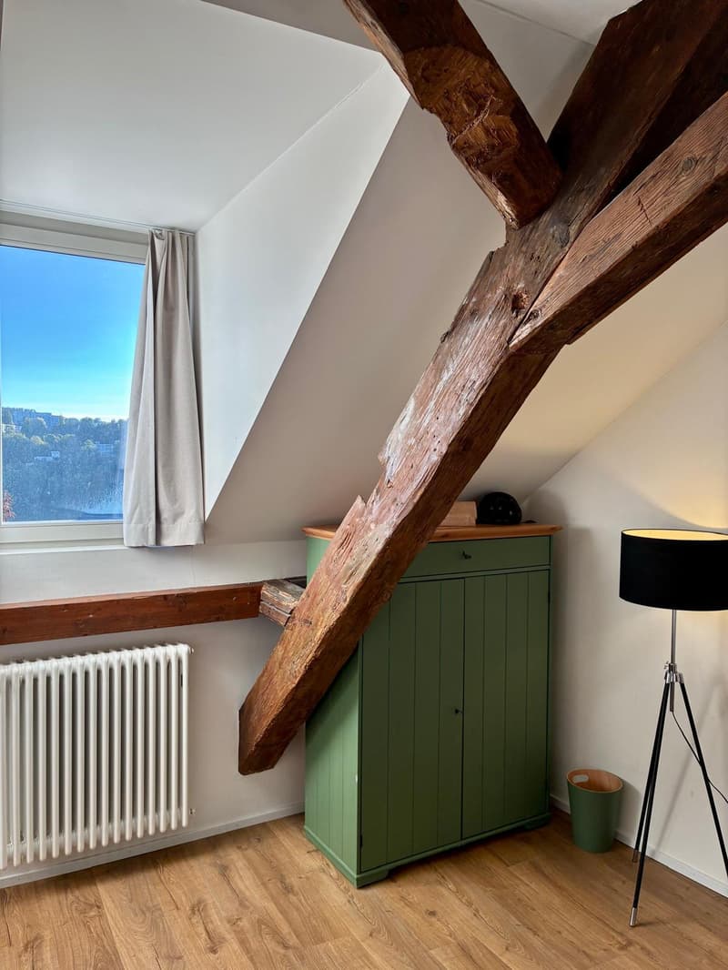 APPARTEMENT 2½ PIÈCES À FRIBOURG, MEUBLÉ, DURÉE DÉTERMINÉE (6)