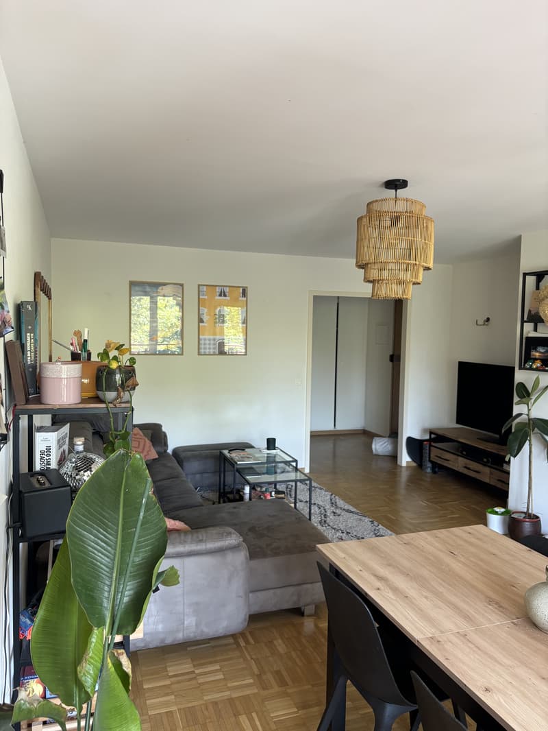 APPARTEMENT 4 PIÈCES À GENÈVE - PLAINPALAIS/ACACIAS, MEUBLÉ, DURÉE DÉT (2)