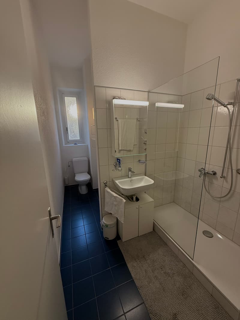APPARTEMENT 3½ PIÈCES À BIEL/BIENNE (BE), MEUBLÉ, DURÉE DÉTERMINÉE (4)