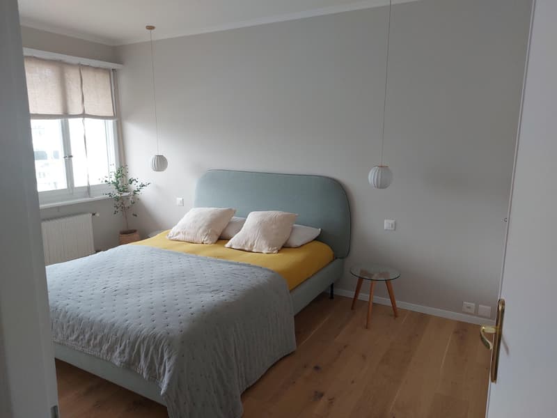APPARTEMENT 2 PIÈCES À LAUSANNE - SOUS-GARE/OUCHY, MEUBLÉ, DURÉE DÉTER (7)