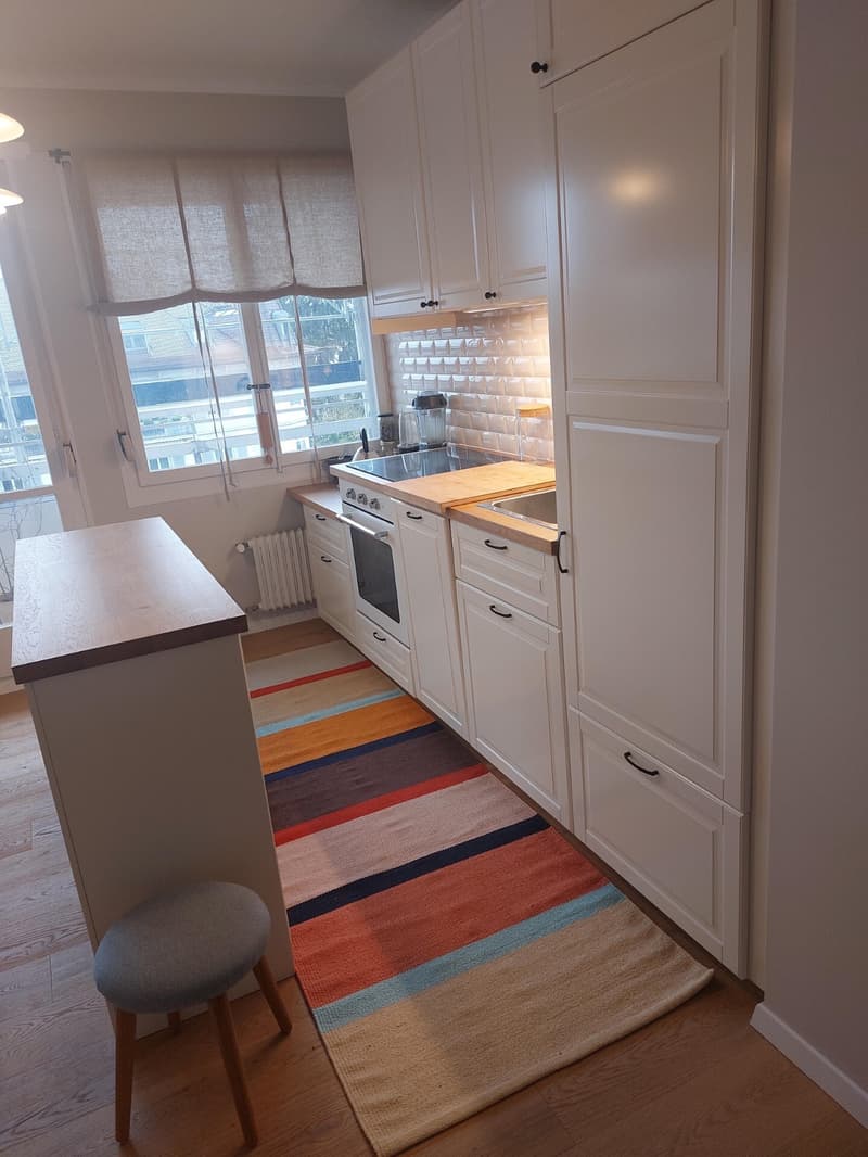 APPARTEMENT 2 PIÈCES À LAUSANNE - SOUS-GARE/OUCHY, MEUBLÉ, DURÉE DÉTER (6)