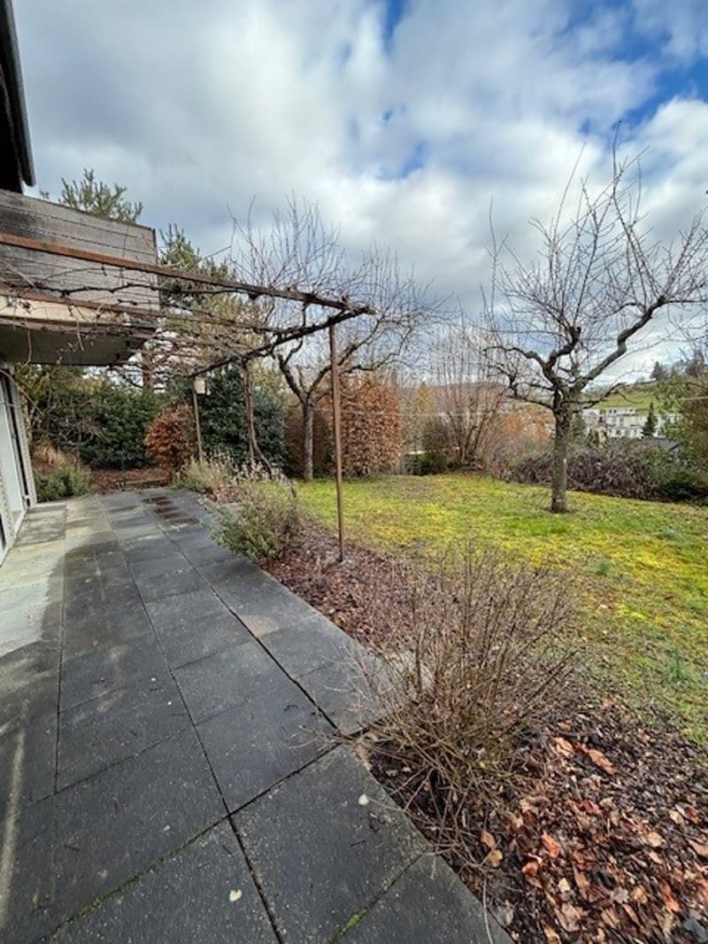 paved walkway, small plants, green lawn, trees, bushes, dried leaves