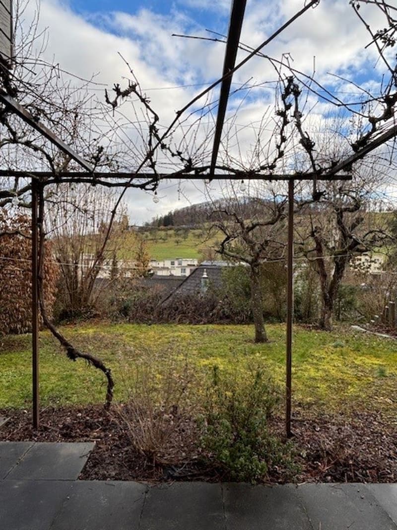 garden with metal frame, grassy field, trees, mountains in the background