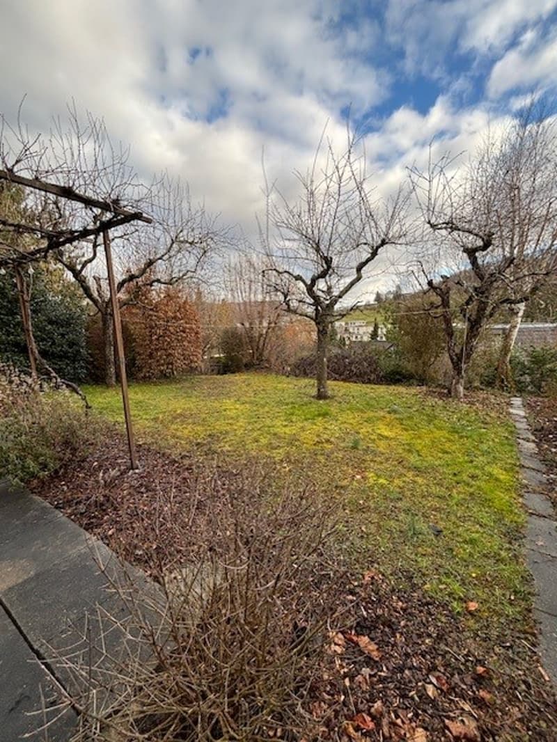 A backyard garden with a grassy field, trees, shrubs, and a walkway on the left side. The area is surrounded by a fence, and there is a building in the distance with a clear sky above.
