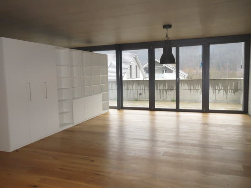 Moderne 1.5-Zimmer Loftwohnung (1)