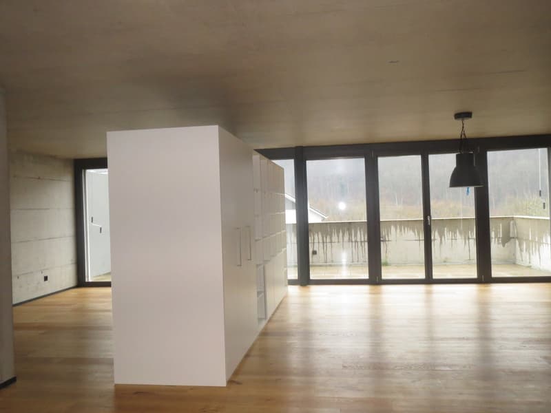 Moderne 1.5-Zimmer Loftwohnung (4)