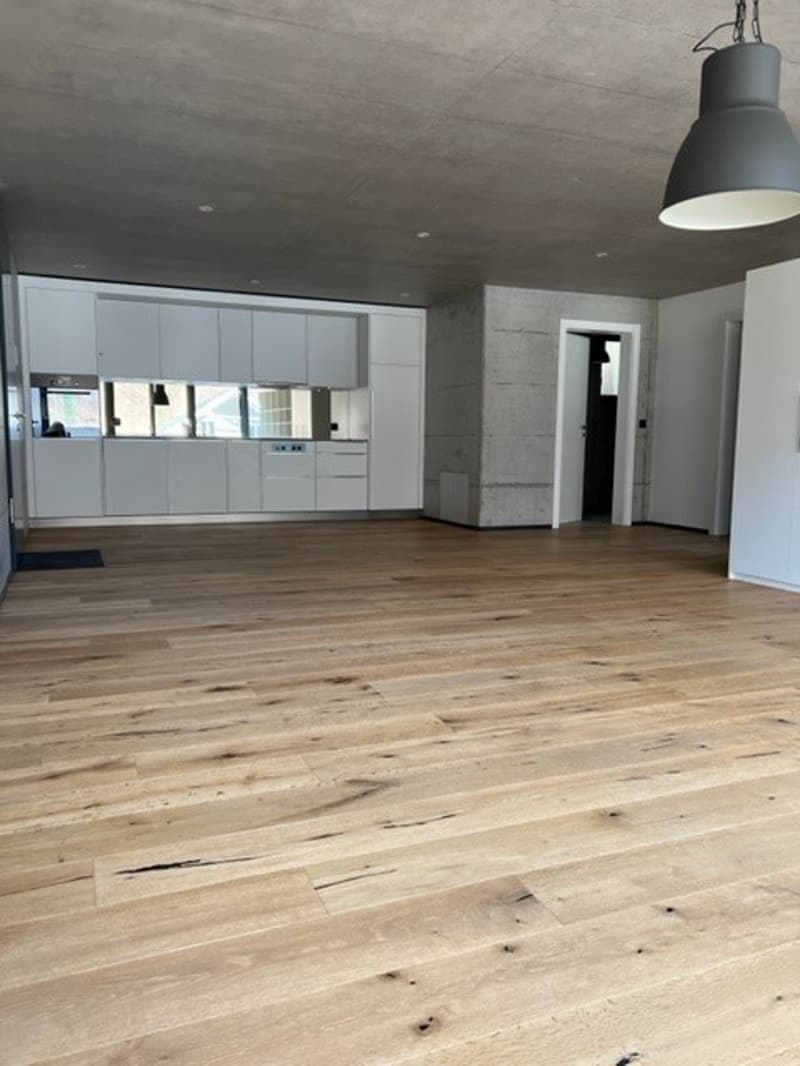 Moderne 1.5-Zimmer Loftwohnung (2)