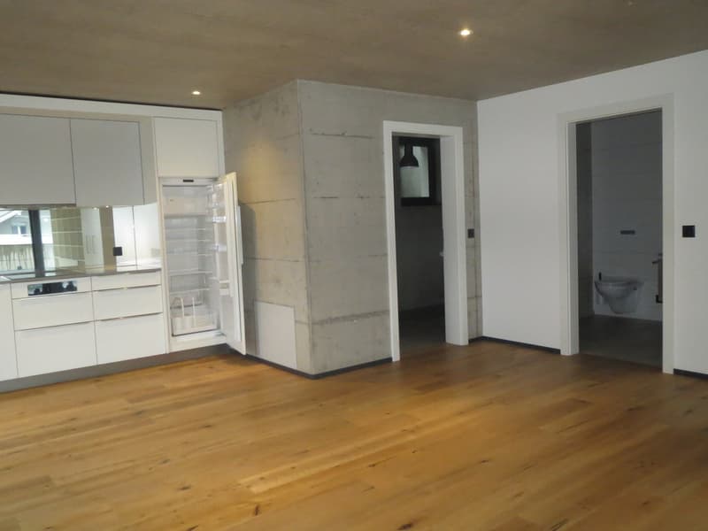 Moderne 1.5-Zimmer Loftwohnung (7)