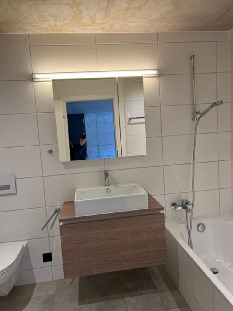 Moderne 1.5-Zimmer Loftwohnung (8)