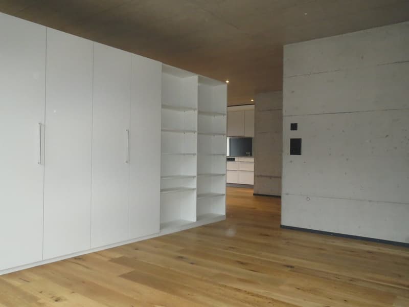 Moderne 1.5-Zimmer Loftwohnung (5)