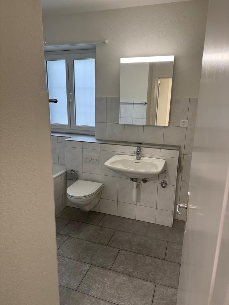 Bathroom with toilet, sink, mirror, and bathtub
