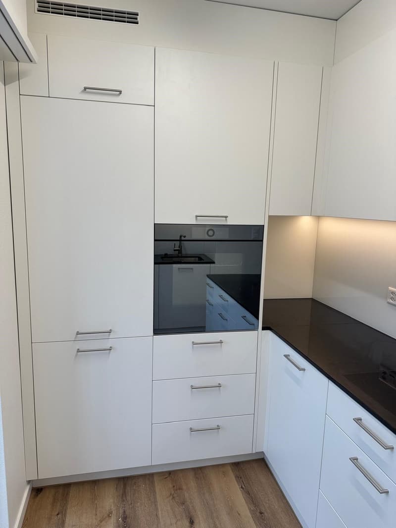 modern kitchen with white cabinets, black countertops, built-in oven, wooden floor