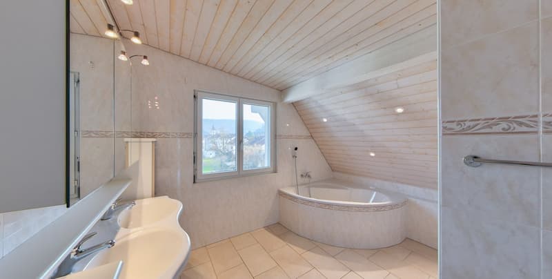 Aussergewöhnliche 5.5-Zimmerwohnung mit Weitblick in Aesch (6)