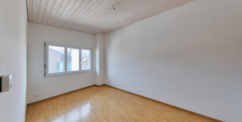 Aussergewöhnliche 5.5-Zimmerwohnung mit Weitblick in Aesch (11)