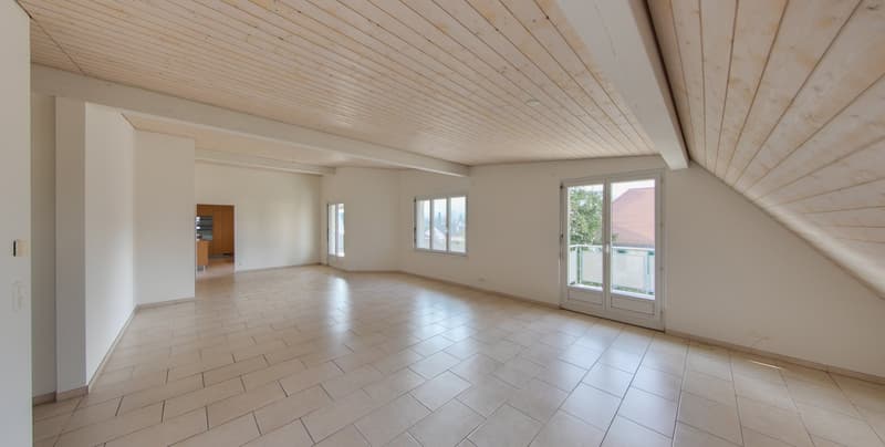 Aussergewöhnliche 5.5-Zimmerwohnung mit Weitblick in Aesch (2)