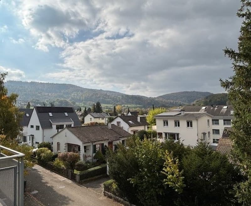 Aussergewöhnliche 5.5-Zimmerwohnung mit Weitblick in Aesch (16)
