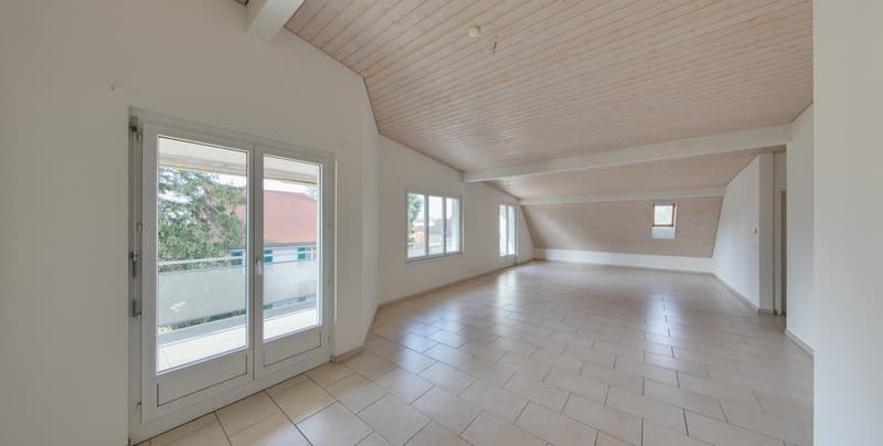 Aussergewöhnliche 5.5-Zimmerwohnung mit Weitblick in Aesch (1)