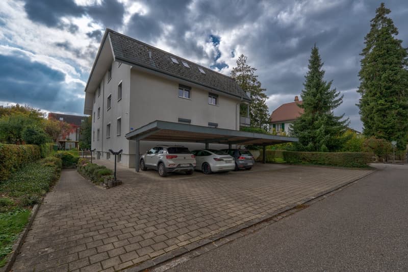 Aussergewöhnliche 5.5-Zimmerwohnung mit Weitblick in Aesch (15)