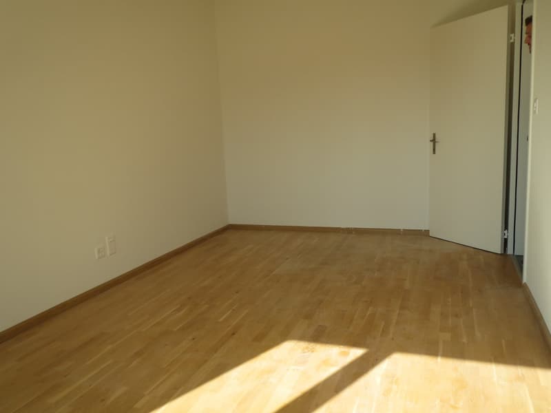 Schöne, helle 3.5-Zimmer-Wohnung (5)