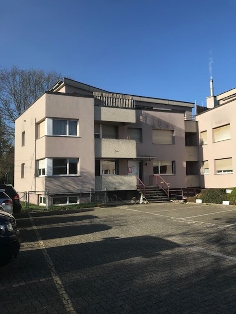 Schöne, sanierte 3.5-Zimmerwohnung (7)