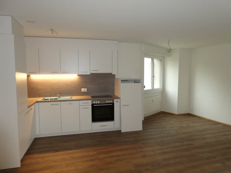 Beautiful, renovated 3.5-room apartment (1)