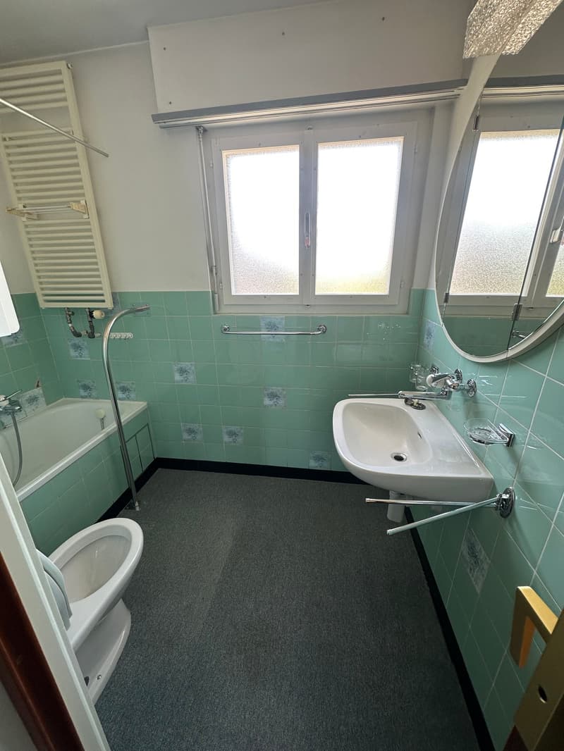 Doppeleinfamilienhaus in Hofstetten-Flüh – Renovationsobjekt an guter Lage (3)