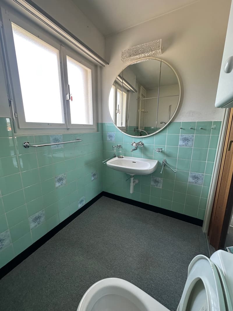 Doppeleinfamilienhaus in Hofstetten-Flüh – Renovationsobjekt an guter Lage (5)