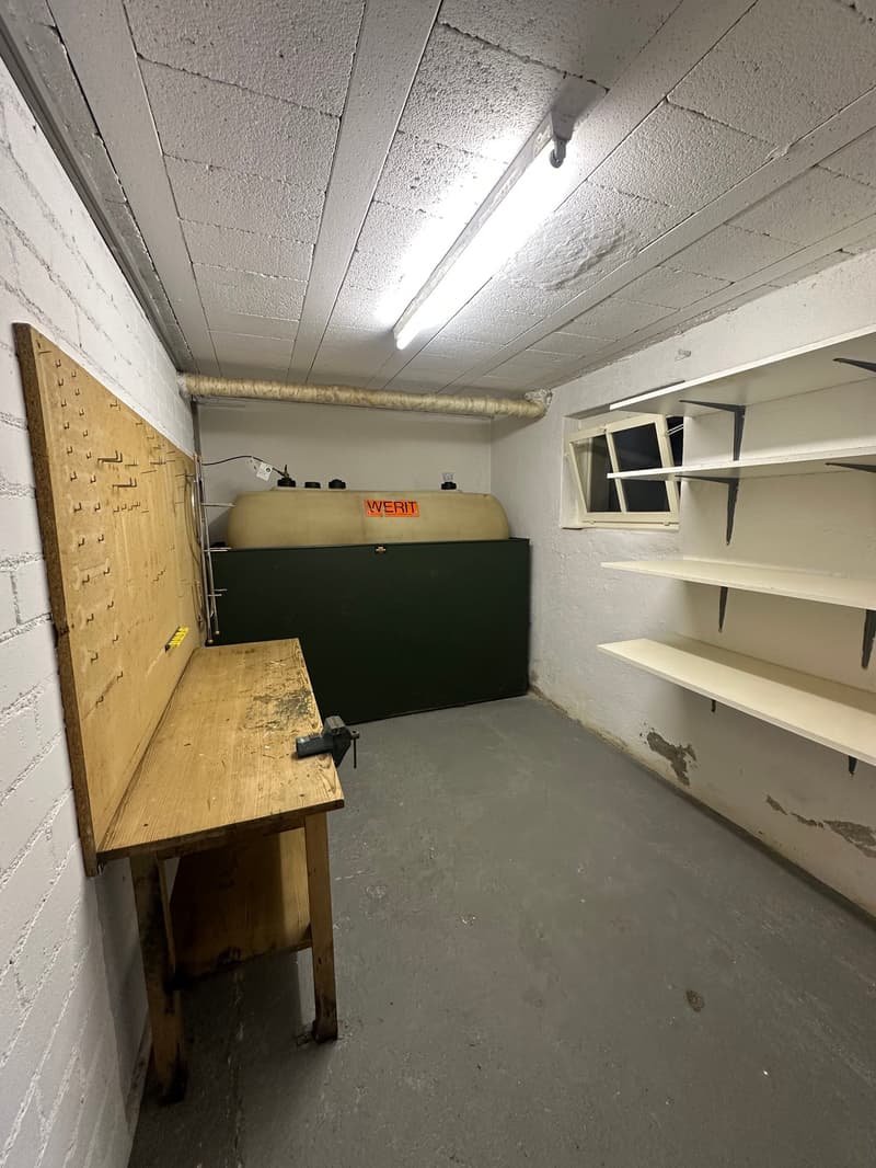 Doppeleinfamilienhaus in Hofstetten-Flüh – Renovationsobjekt an guter Lage (24)