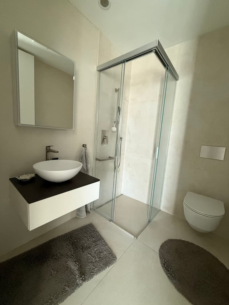 Appartamento moderno 4.5 locali a Reinach BL (24)