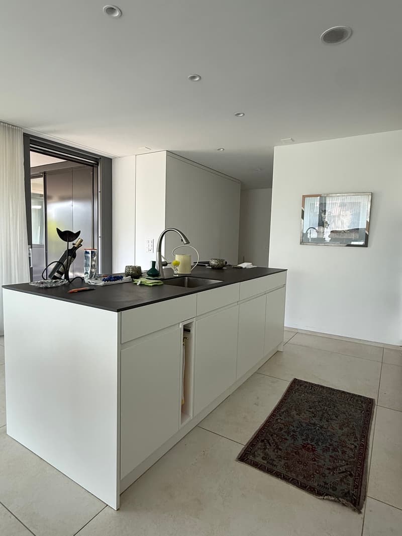 Appartamento moderno 4.5 locali a Reinach BL (4)